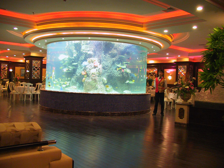 大型觀賞魚缸造景