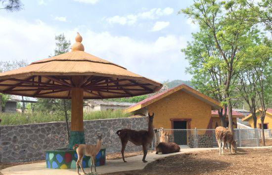 石家莊動物園景觀項目工程改造升級順利完成
